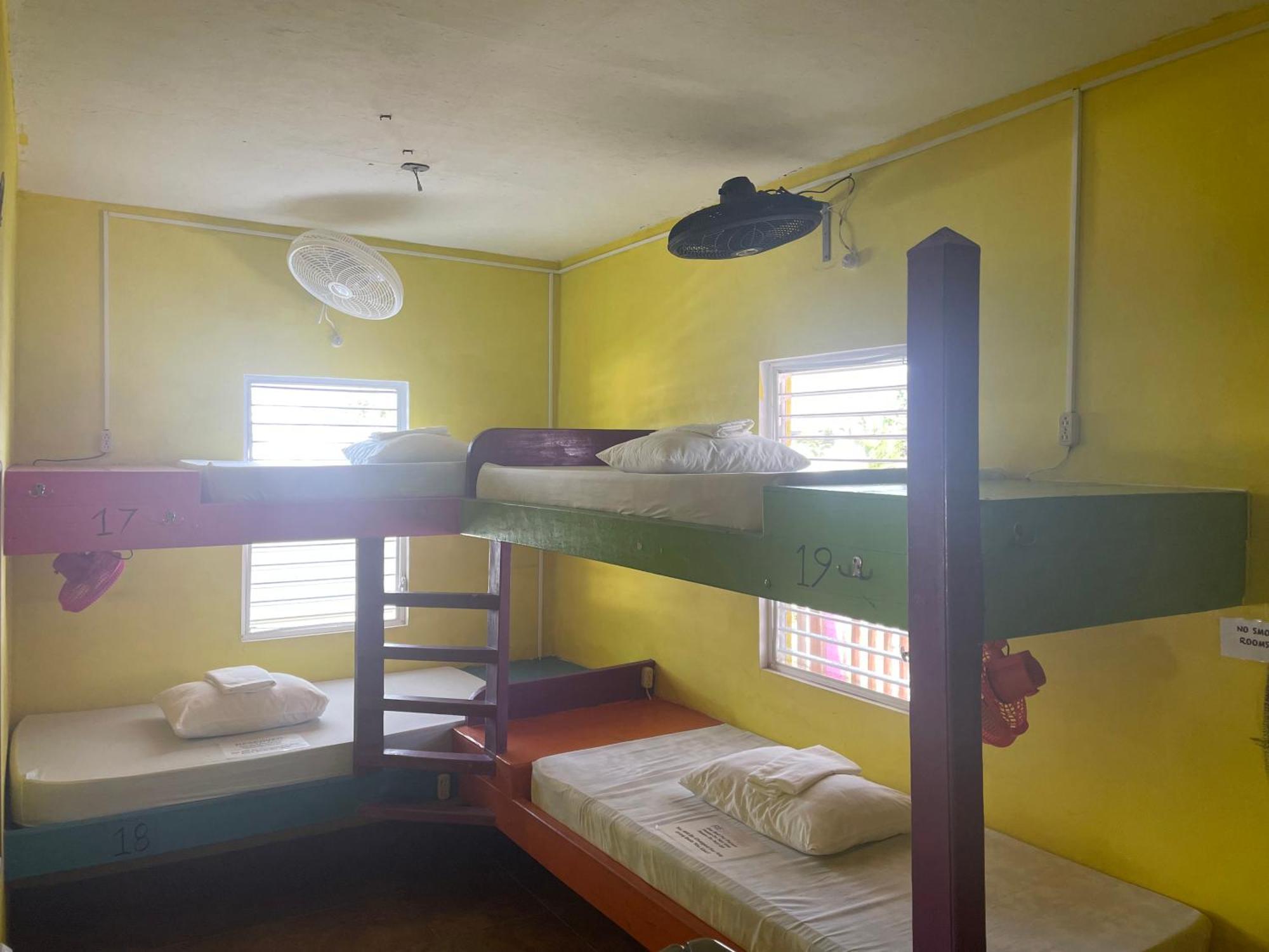 Albergue Travellers Palm Backpackers Cayo Caulker Exterior foto